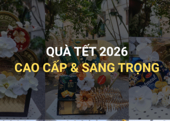 Quà Tết 2026 – Mẫu Hộp Quà Tết Cao Cấp, Sang Trọng