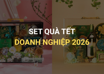 Set Quà Tết 2026 – Gợi ý những lựa chọn tinh tế và ý nghĩa nhất